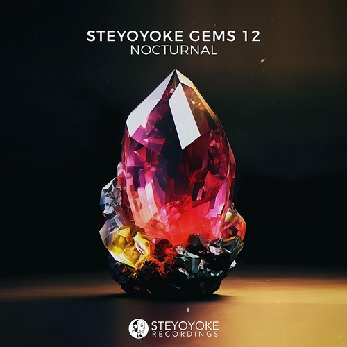 VA - Steyoyoke Gems Nocturnal 12 [SYYKCOMP019]